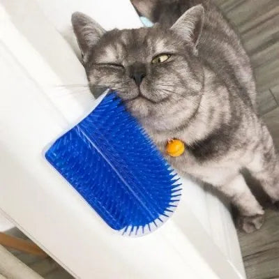 Cat Self Grooming Comb